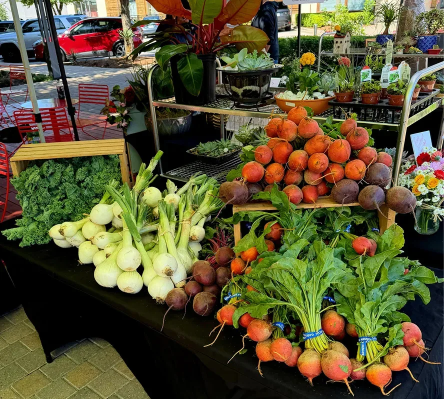 Fresh produce at the market