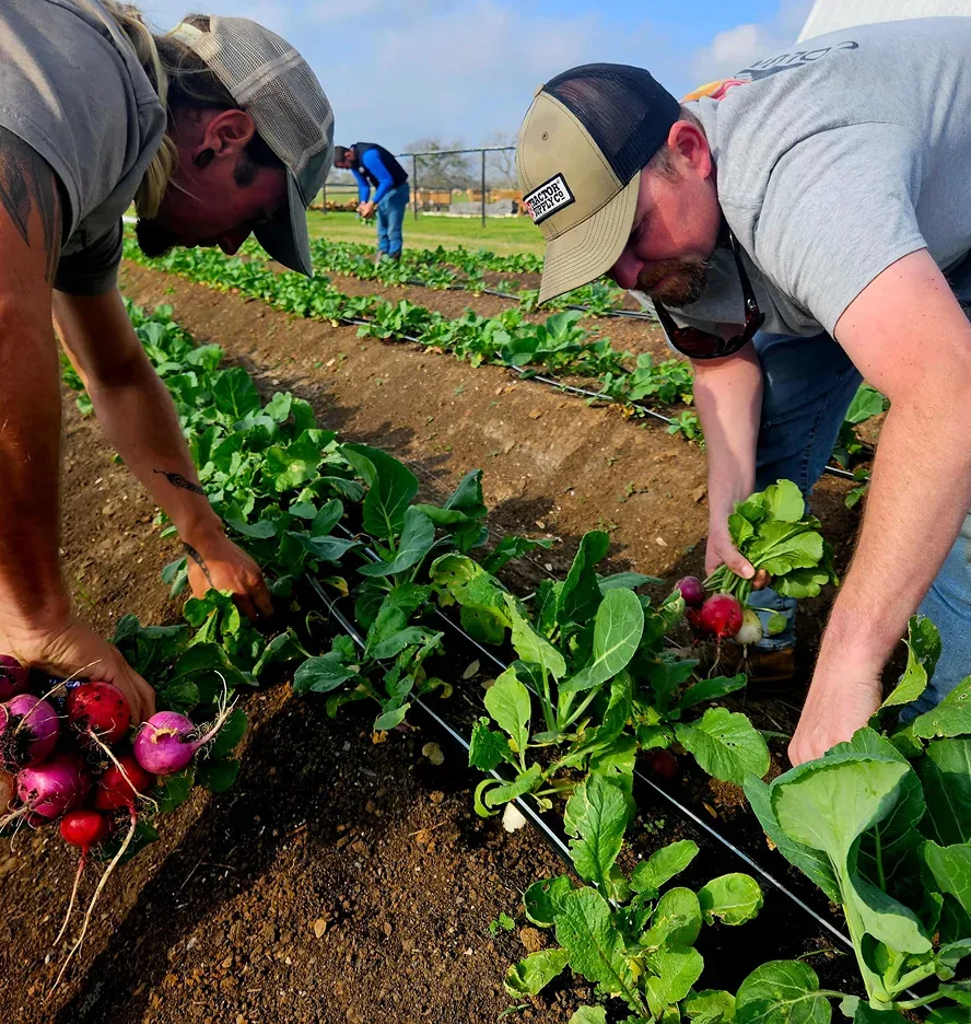 Working in the field