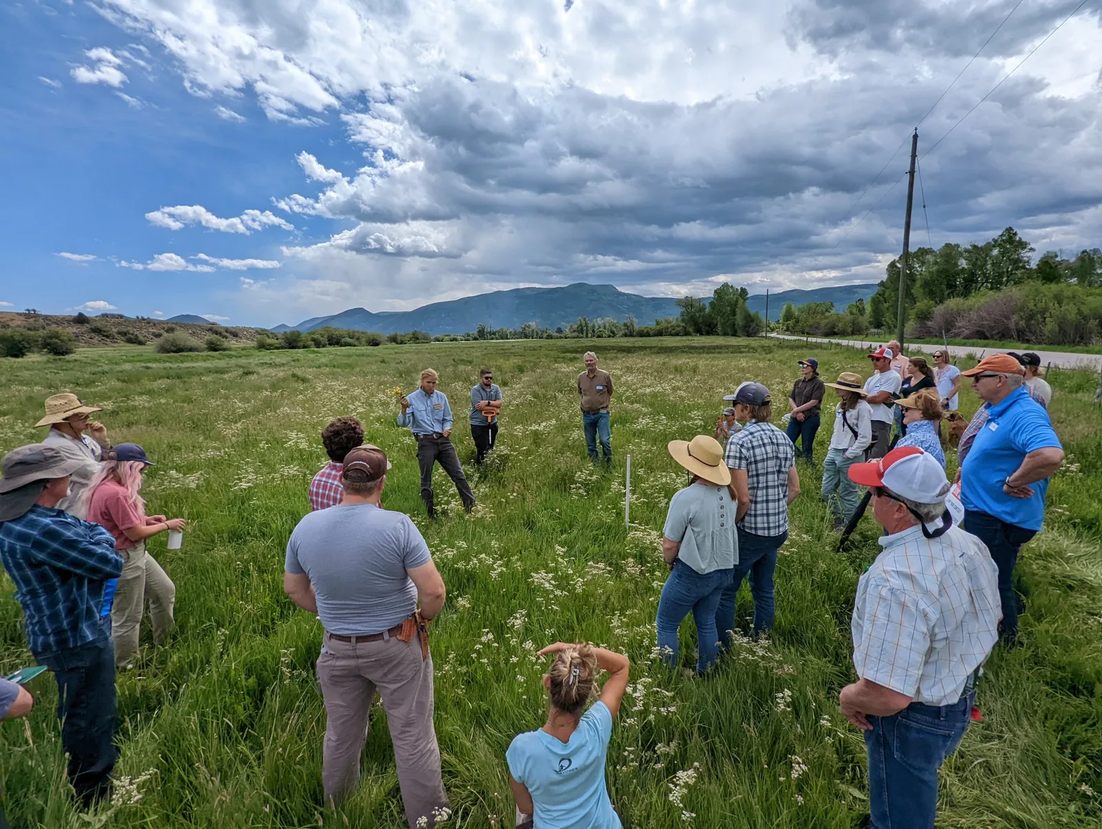 A group visiting the pasture